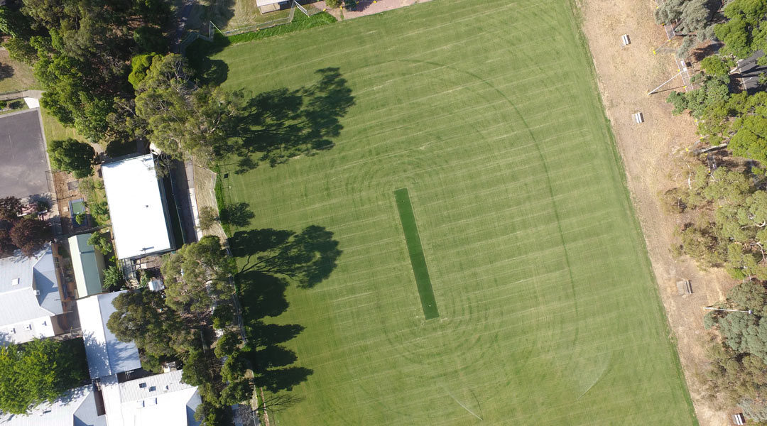 Belmont reservce sports fields construction civil community council team maintenance turf